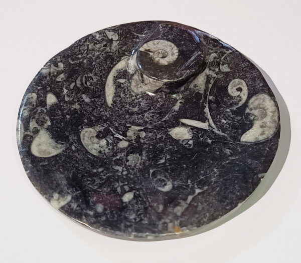 Cenicero de mármol negro con fósiles de Orthoceras. Unos 12 cm de diámetro.