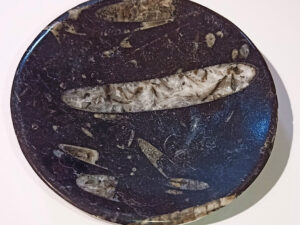 Cenicero de mármol negro con fósiles de Orthoceras. Unos 12 cm de diámetro.